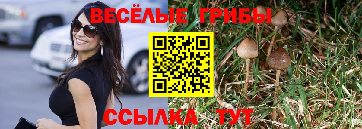 Галлюциногенные грибы ЛСД  Галлюциногенные грибы Magic Shrooms  Вход с VPN  цены наркотик  Комсомольск-на-Амуре 